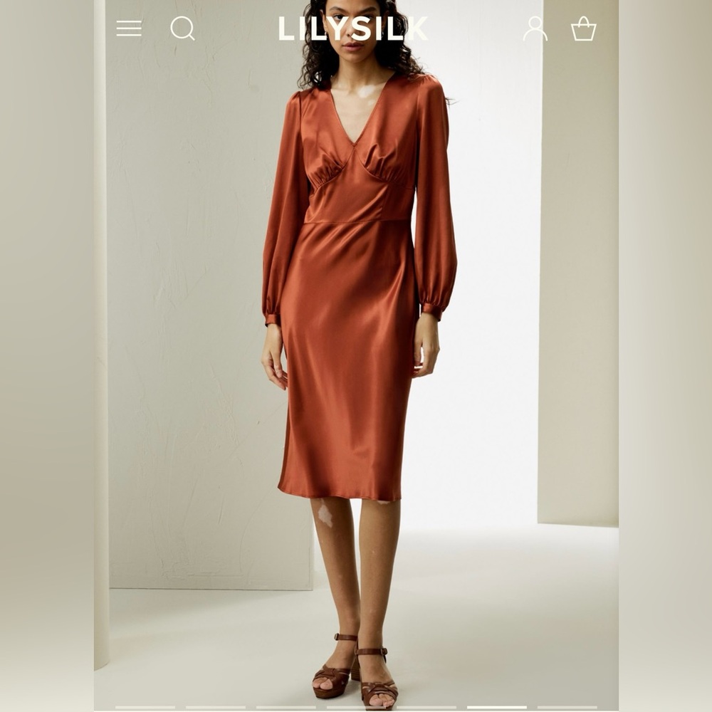Elegant Rust Silk Dress